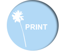 Icon-Print